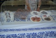 Jornades de cuina catalana a Casa Artusi ( Forlimpopoli)