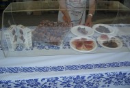 Jornadas de cocina catalana a Casa Artusi ( Forlimpopoli)